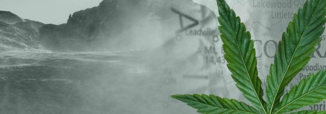 5 Best Cannabis Dispensaries in Colorado