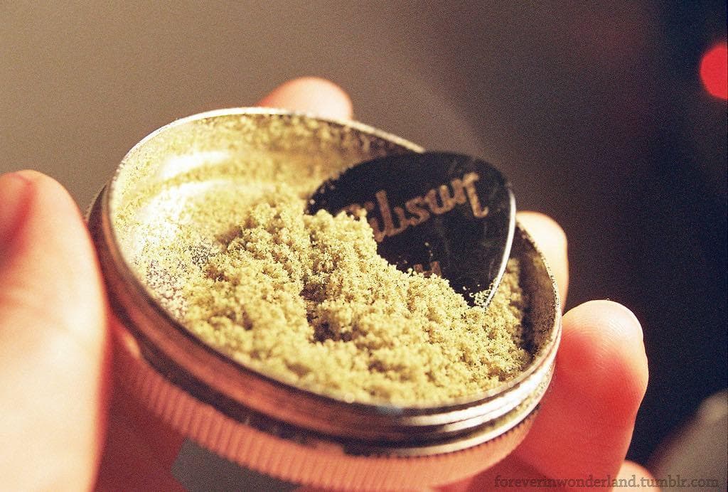 what is kief