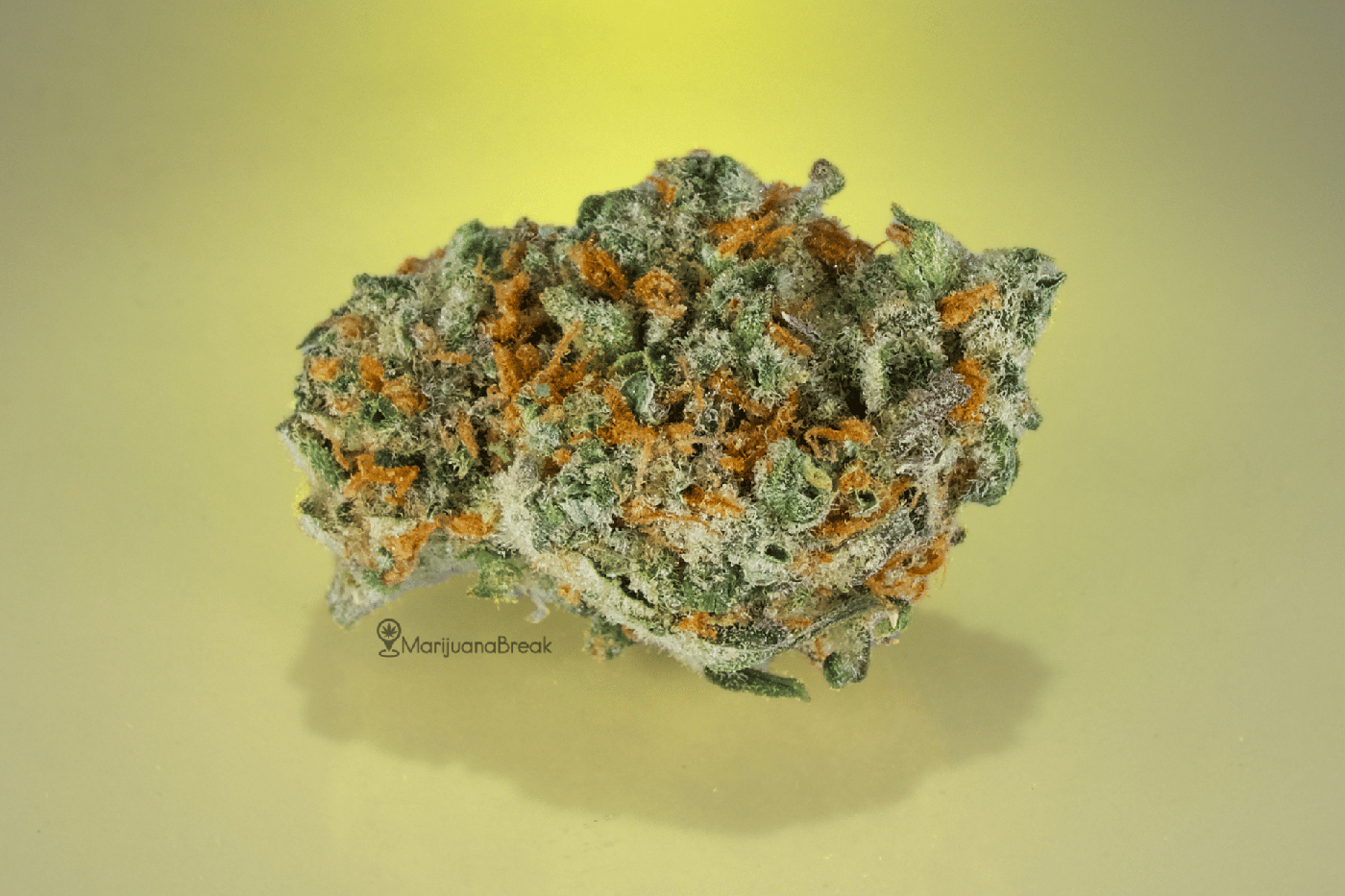 super lemon haze cannabis strain