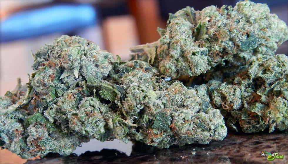 best indica strains