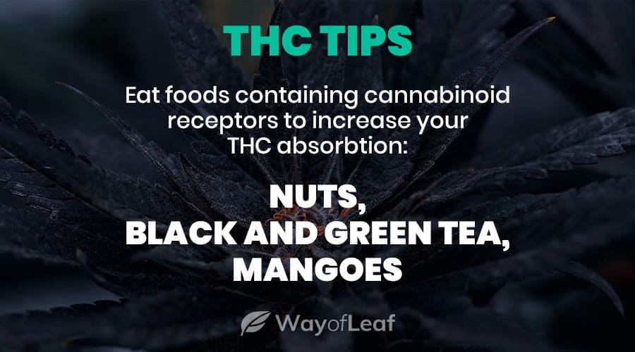 10 Astonishing Things You Didn’t Know About THC