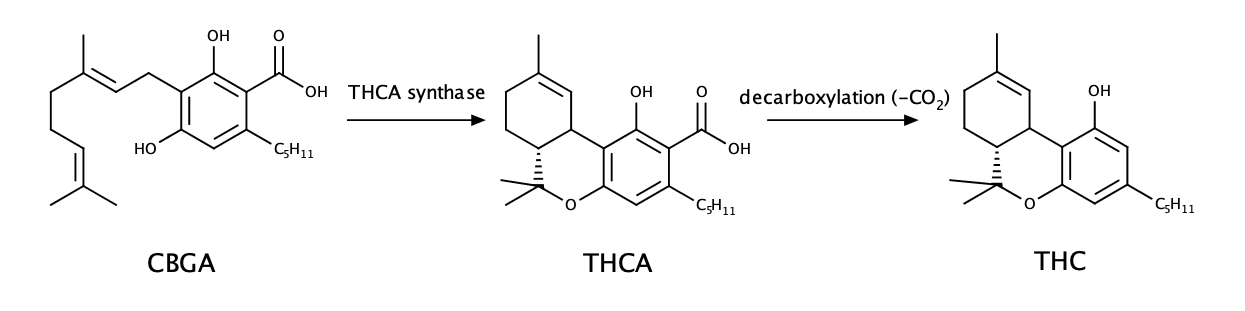 thca