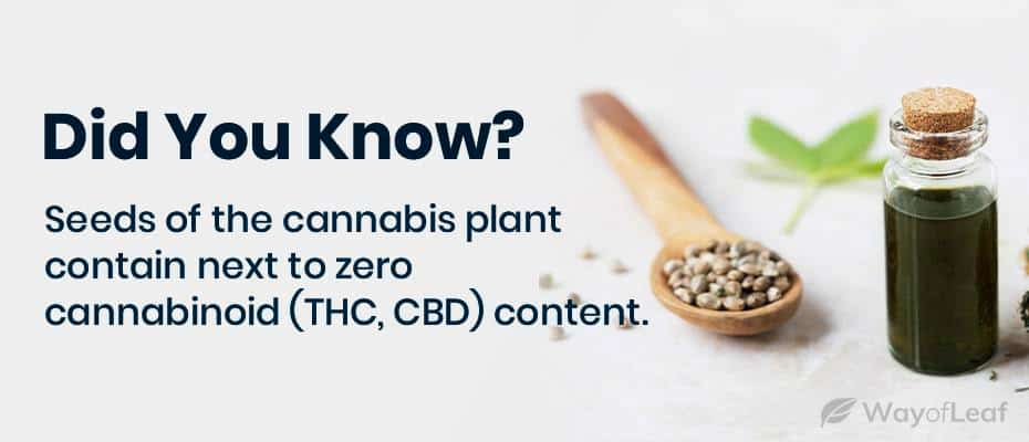 Can you eat marijuana seeds