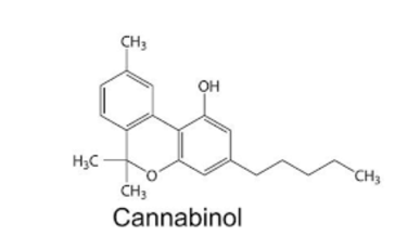 cbn – cannabinol