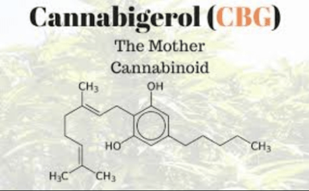 cbg – cannabigerol