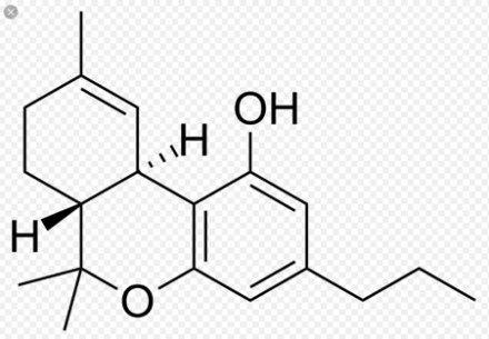 3. thcv – tetrahydrocannabivarin