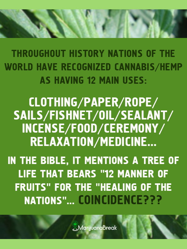 here’s how hemp can ‘save the trees’