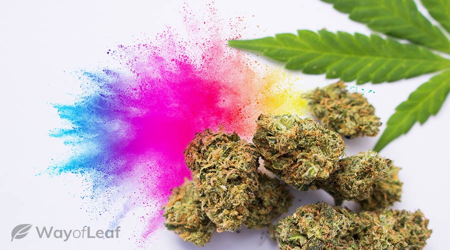 weed-colors