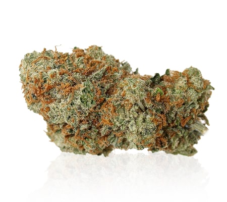 Headband Marijuana Strain Complete Review