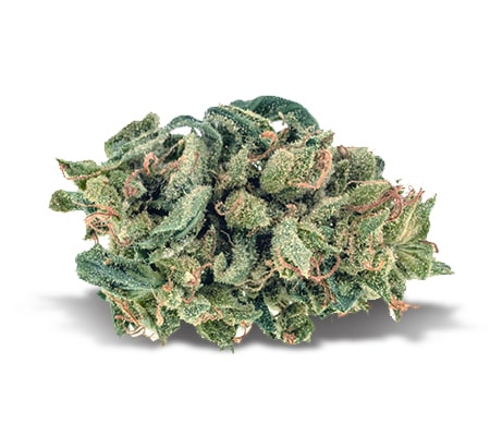 Blue Cheese Cannabis Strain The Ultimate 21 Review