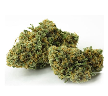 green crack strain Online at very good prices -Trappy Exotics Menu