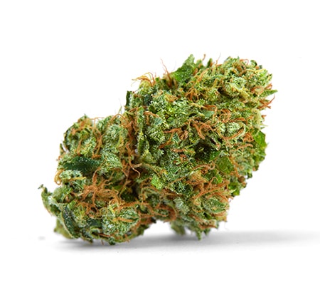 Head Cheese Strain The Complete Review Grower S Guide