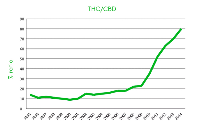 thc/cbd