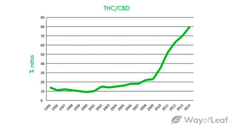 THC Potency Over the Years: A 50-Year Look at Cannabis