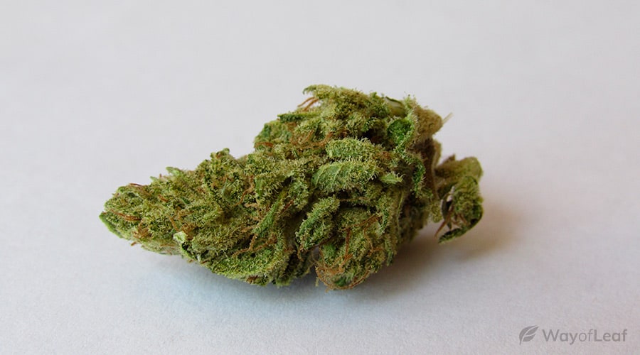 green-crack-marijuana-image-1
