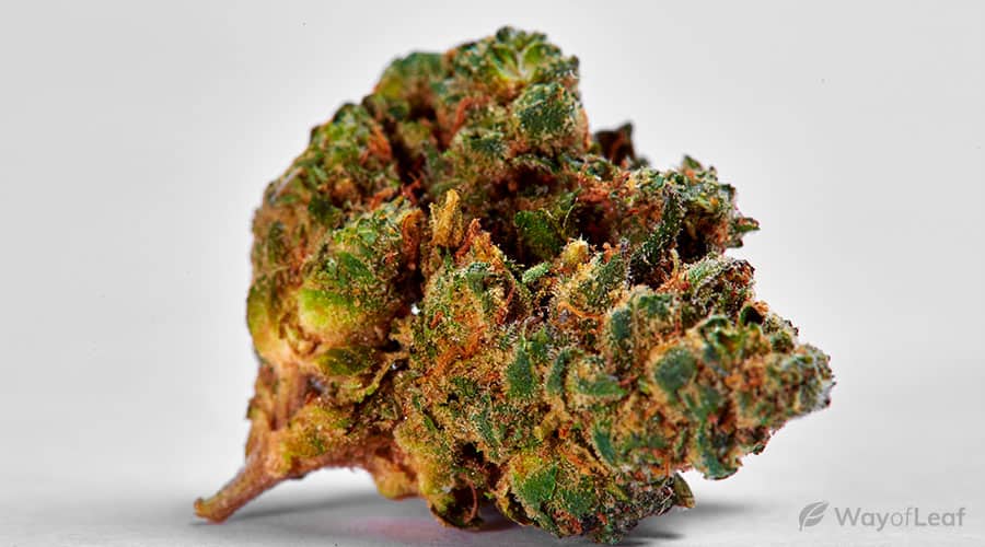 green-crack-marijuana-image