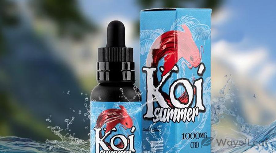 Koi Cbd Review Updated Product Review Coupon Code