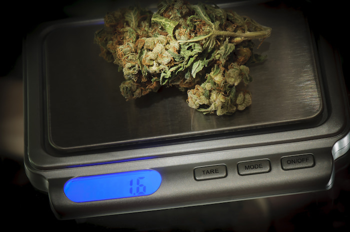 How Many Grams Are In An Ounce Of Cannabis Exact Answer