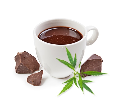 5 Essential Cannabis Ingredients to Make the Best Edibles - Cannabis Clubs  in Barcelona
