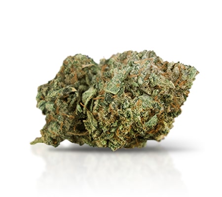 Sunset Sherbet Marijuana Strain Sunset Sherbet Marijuana Strain