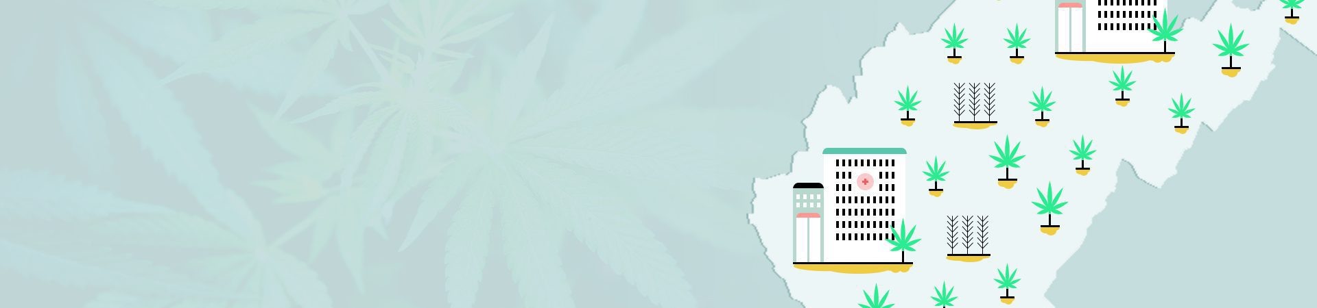 Get A Medical Marijuana Card In West Virginia 2021 Guide