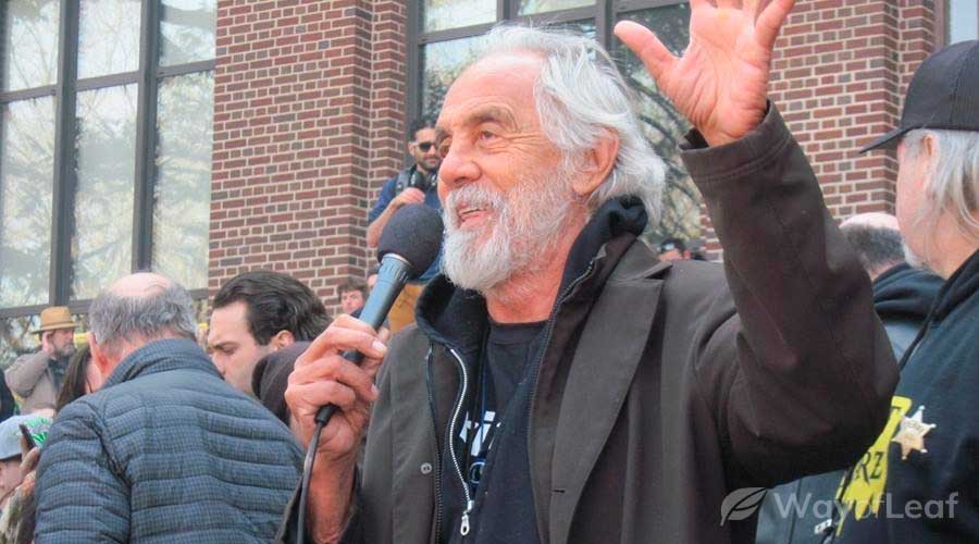 tommy-chong