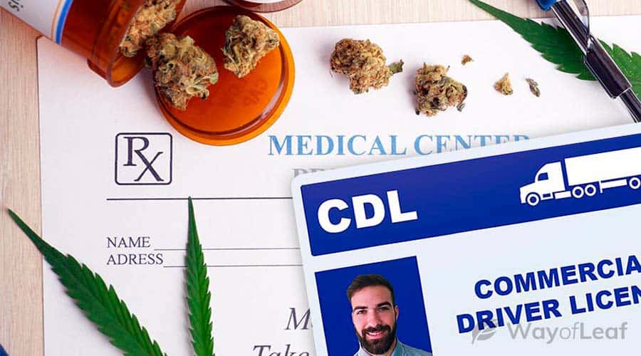 cdl-and-medical-weed