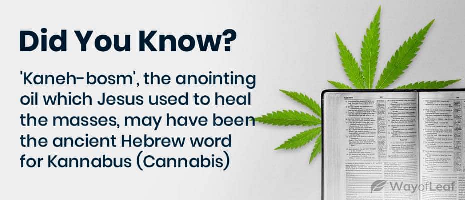 cannabis-and-christianity