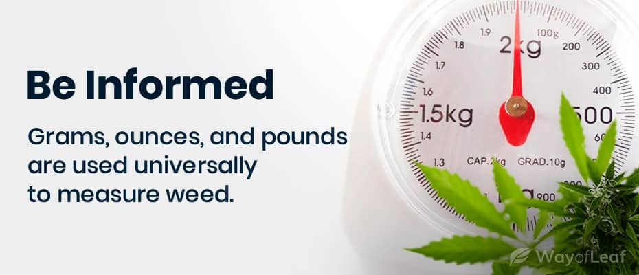 How many quarters does it take to weigh 200 grams Best Scales For Weed Weight Measurement Charts Mold Resistant Strains