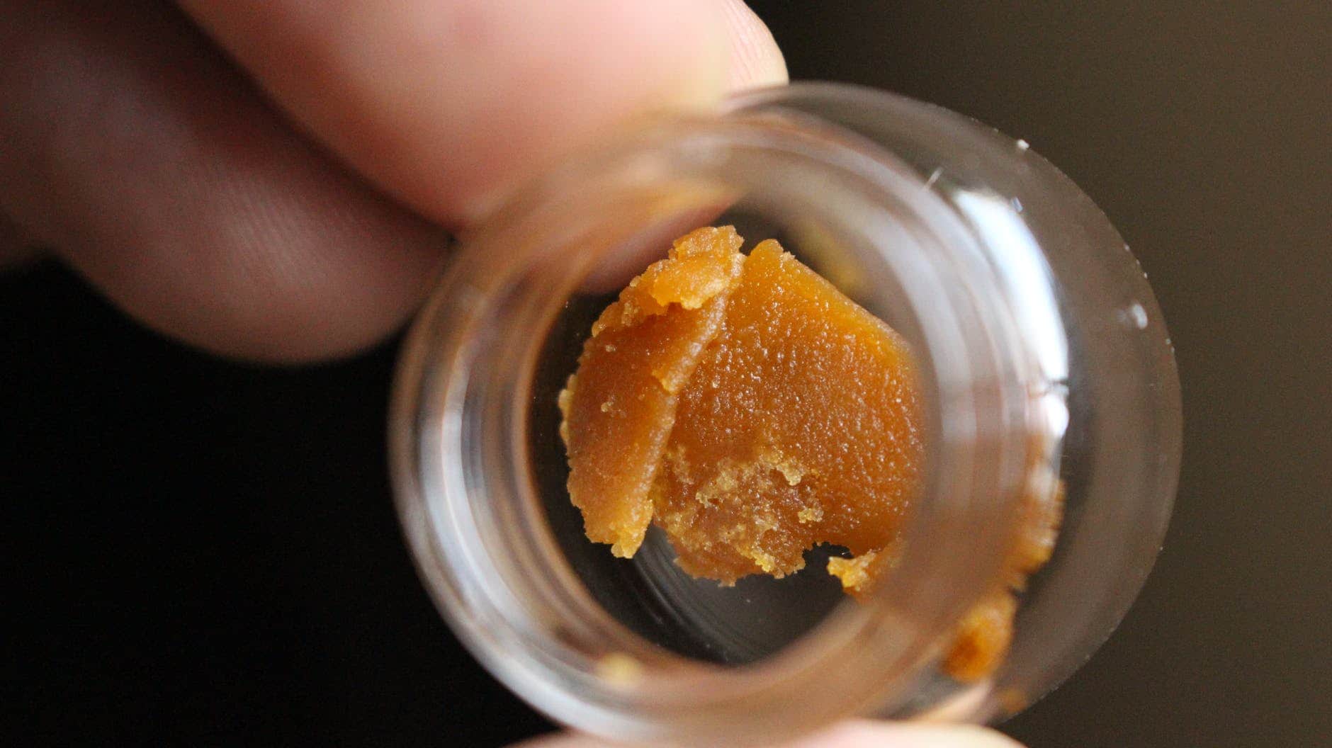 what are concentrates?