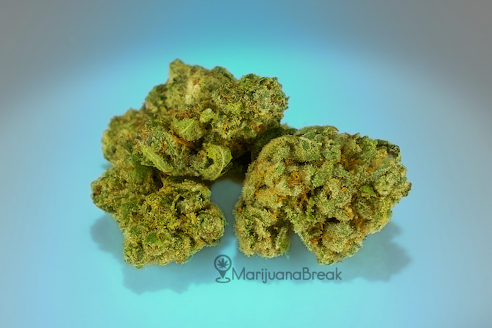 gorilla glue