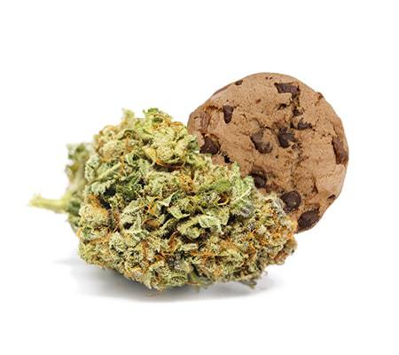 Cookie Dough Marijuana Strain Information
