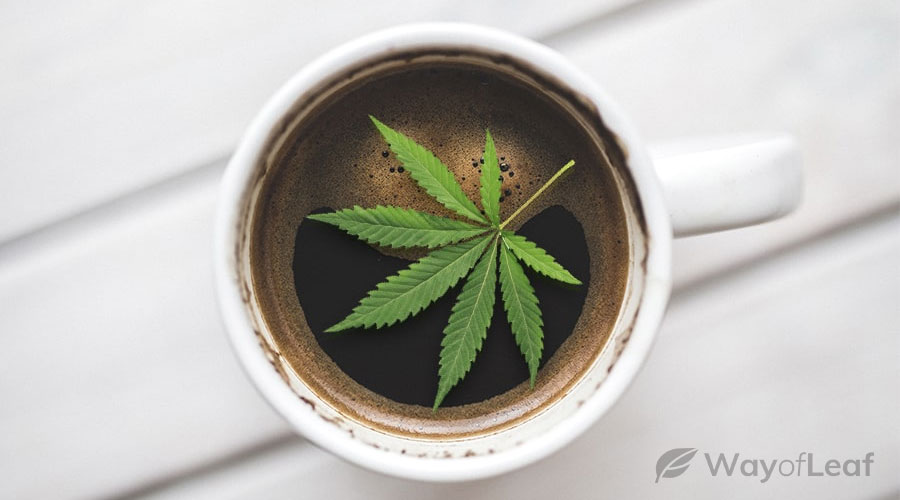 CBD Coffee - The NEW Cannabis-Infused Craze?