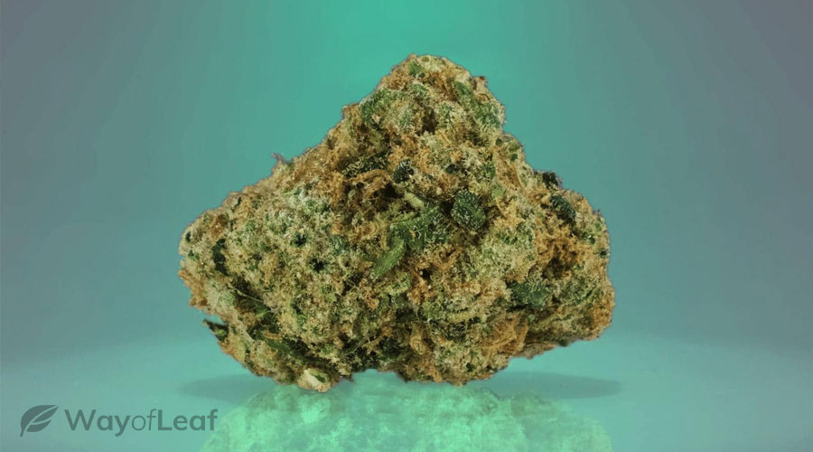 2 – Chemdawg (The Pungent Marijuana Strain)