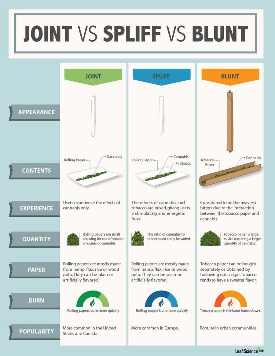 Joint vs. Spliff vs. Blunt: Know the Major Differences