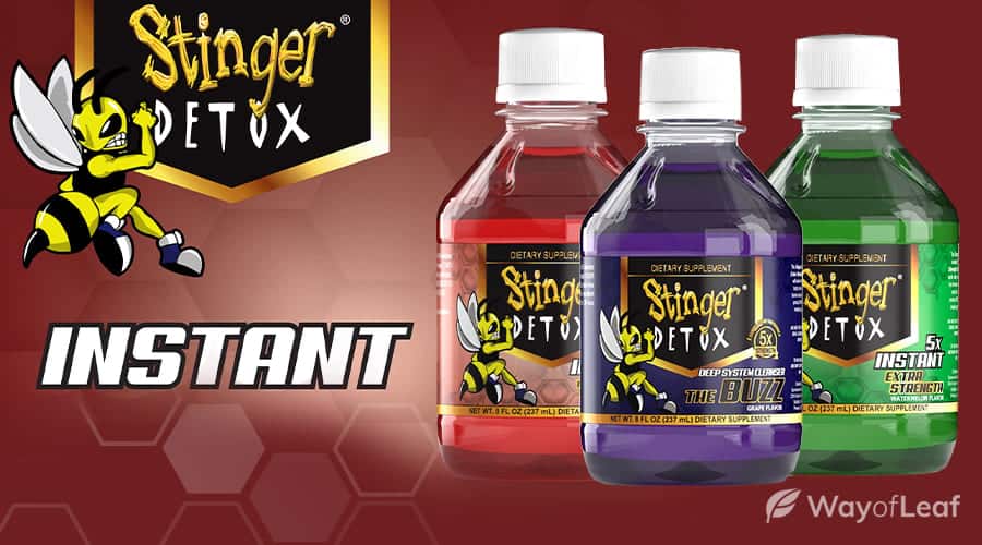 stinger-detox-review