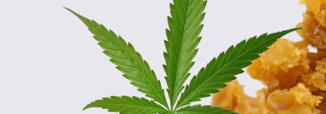 What in the World Is PHO Wax? [Cannabis Concentrate]