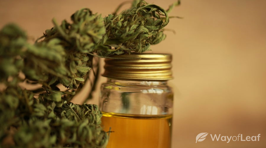 How To Make Thc Oil For E Cigs The Definitive Guide