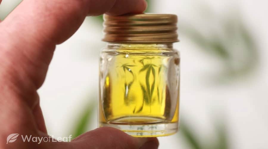 How To Make Thc Oil For E Cigs The Definitive Guide