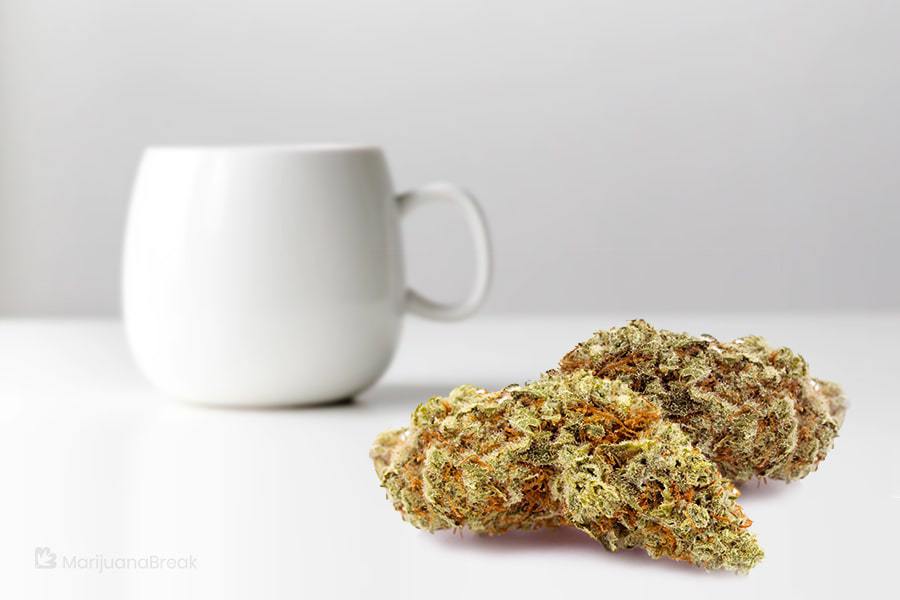 Red Dragon Cannabis Strain (Full Review)