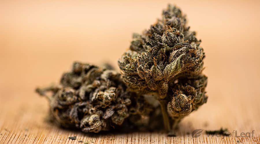 what is the blueberry og strain?