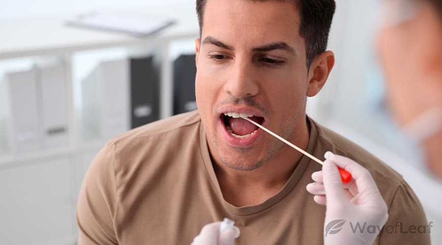 how-does-saliva-drug-testing-work