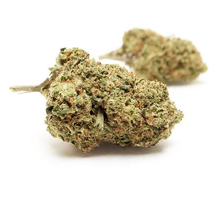 Blueberry Headband Cannabis Strain The Complete Review