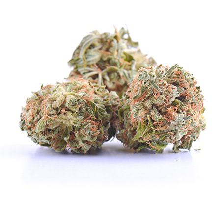 Head Cheese Strain The Complete Review Grower S Guide