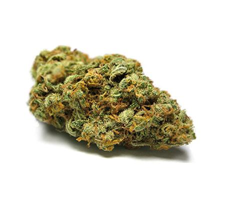 Head Cheese Strain The Complete Review Grower S Guide