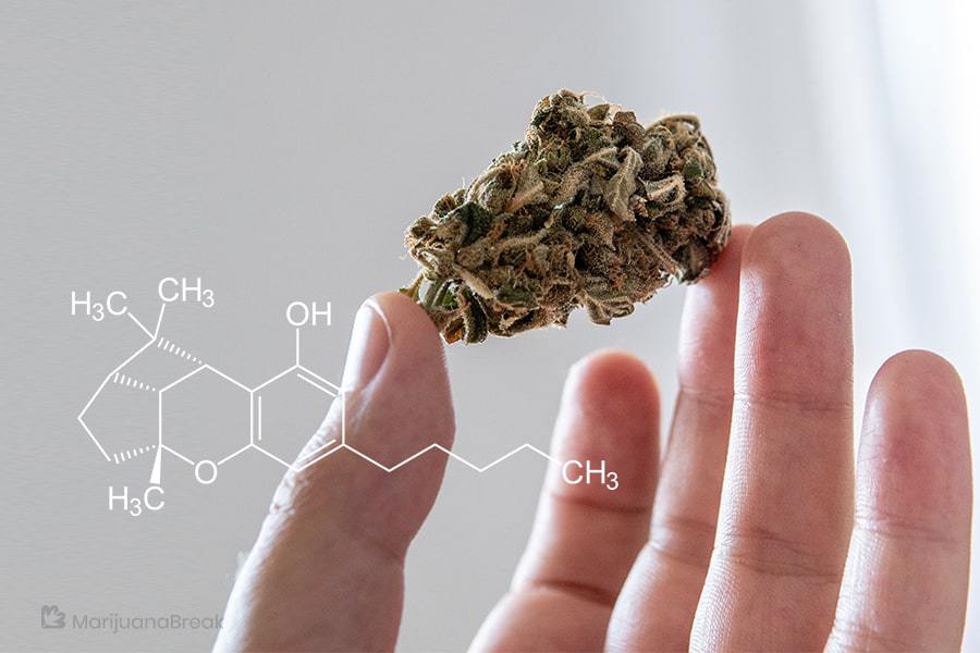 cbl cannabinoid