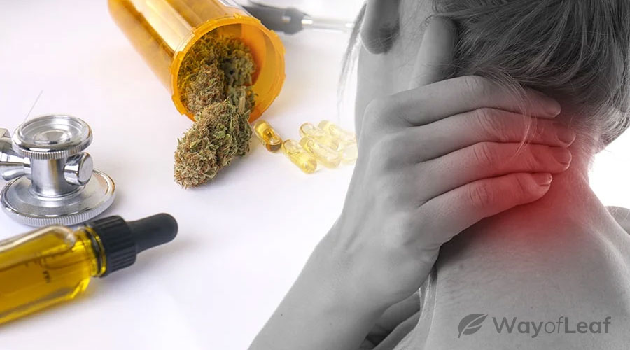 prednisone and cbd oil