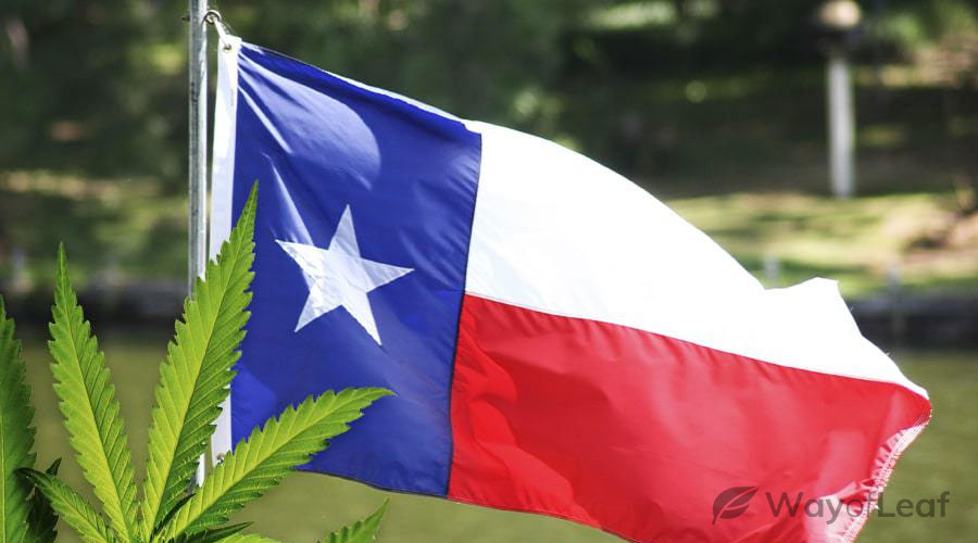 How to get cbd in texas