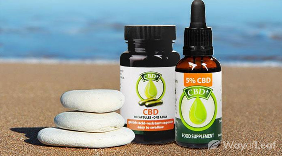 holland barret cbd oil 