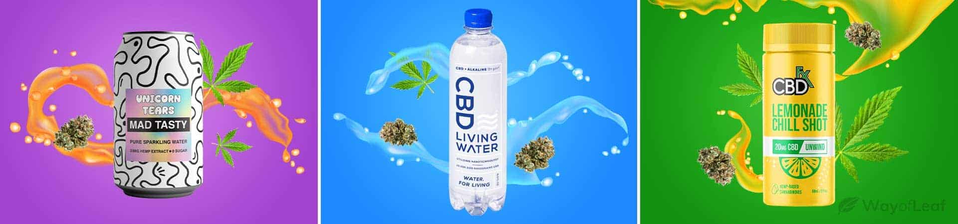 Best CBD Drinks – How Do These Brands Compare?